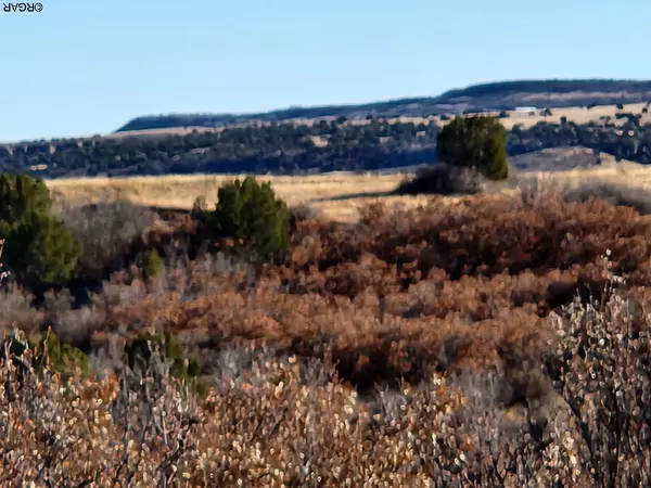 Colorado City, CO 81019,TBD Fairplay PL