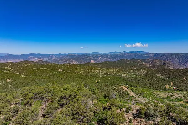 Cotopaxi, CO 81223,109 Cottonwood DR