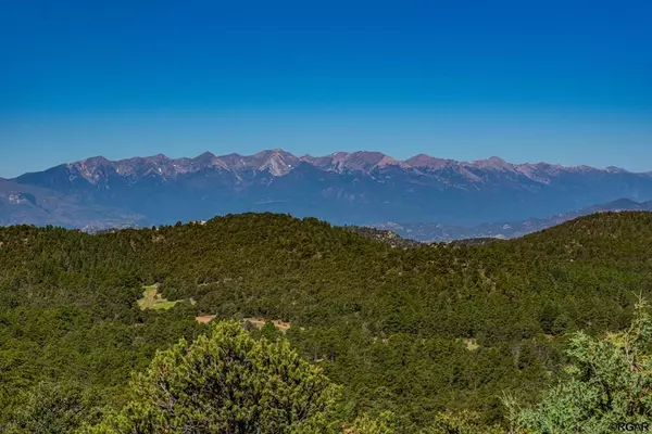 Cotopaxi, CO 81223,109 Cottonwood DR