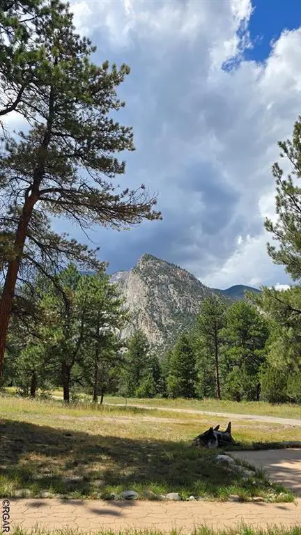 21501 Chalk Creek DR, Nathrop, CO 81236