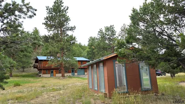 21501 Chalk Creek DR, Nathrop, CO 81236