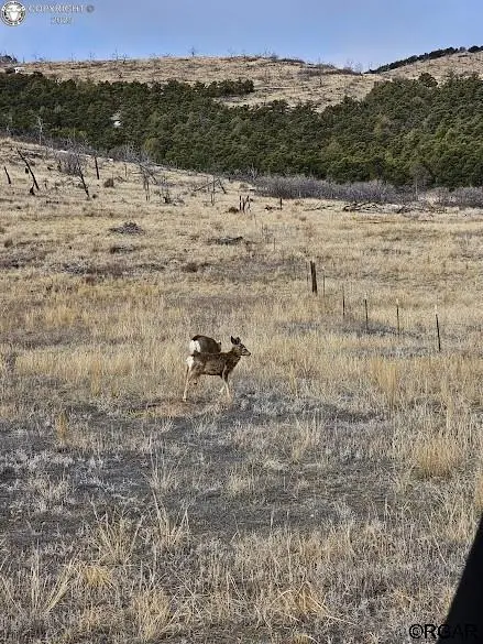 TBD 29th TRL, Cotopaxi, CO 81223