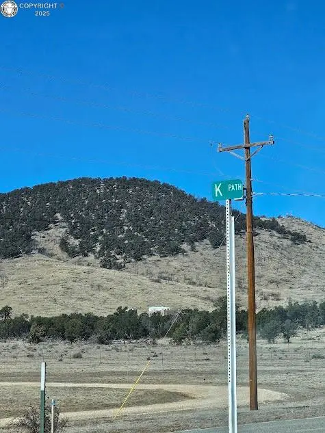 TBD 29th TRL, Cotopaxi, CO 81223