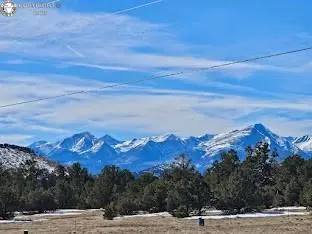 TBD 29th TRL, Cotopaxi, CO 81223