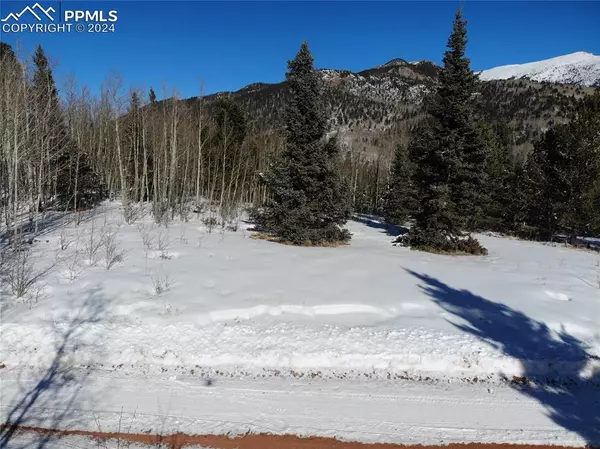 12775 S Highway 67, Cripple Creek, CO 80813