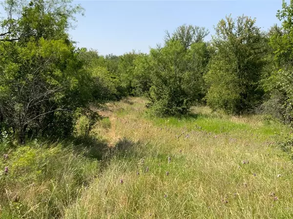 48 Tatanka Trail, Gustine, TX 76455