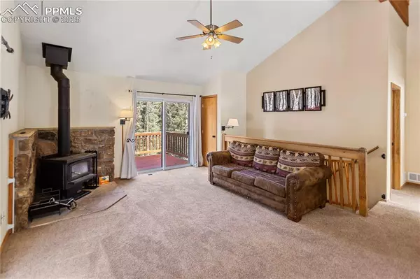 Florissant, CO 80816,331 Donzi TRL