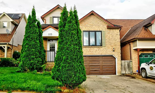 113 Bassett BLVD #Basement, Whitby, ON L1N 7W9