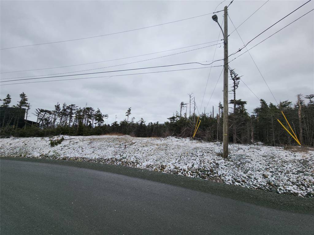 Logy Bay Middle Cove Outer Cove, NL A1K 2A1,8 Silver Head Way