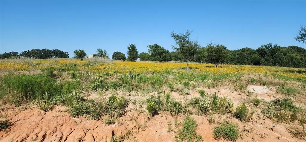 Springtown, TX 76082,1084 Gonzollas Road