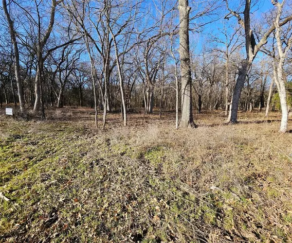 Lot 221 Banjo Court, Alvord, TX 76225