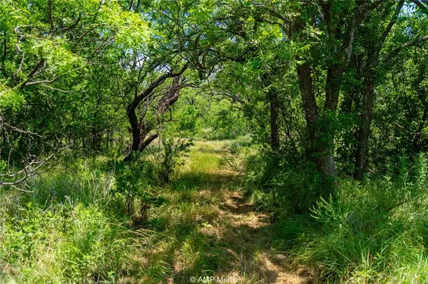 Merkel, TX 79536,TBD CR 378