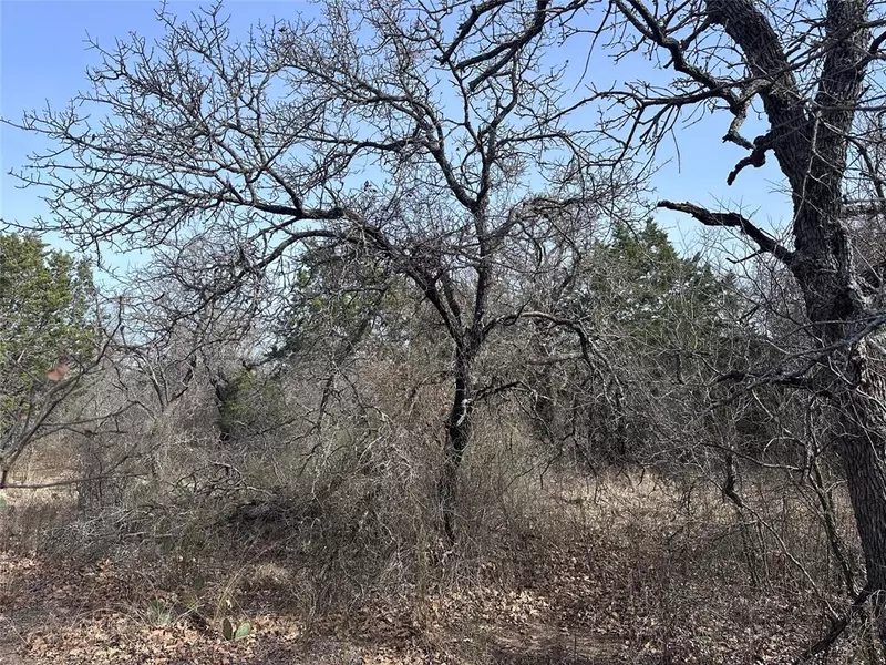 10645 CR 479, Baird, TX 79504