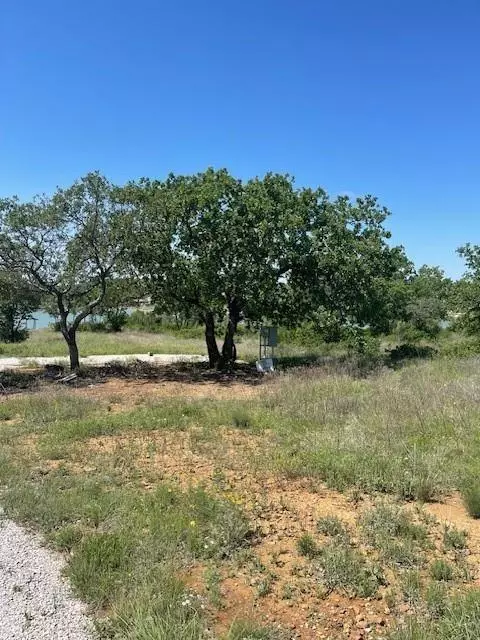 Cisco, TX 76437,133 Scenic Ridge Drive #Lot 22