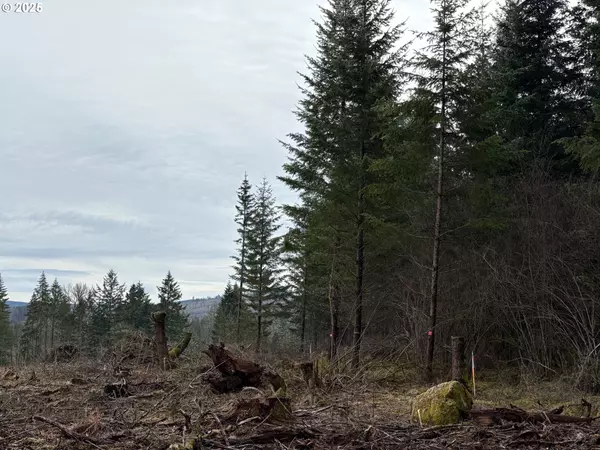 Molalla, OR 97038,00 S Hardy RD