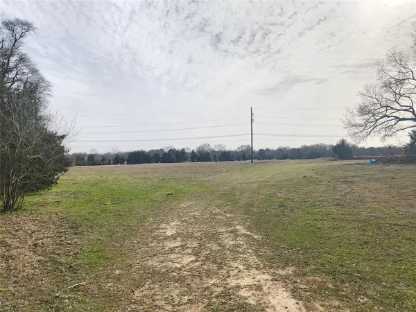 Mineola, TX 75773,TBD WALNUT ST