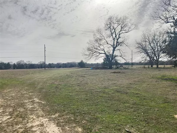 Mineola, TX 75773,TBD WALNUT ST