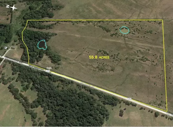 TBD 55.8 Acres NW Co Rd 1390 Road, Blooming Grove, TX 76626