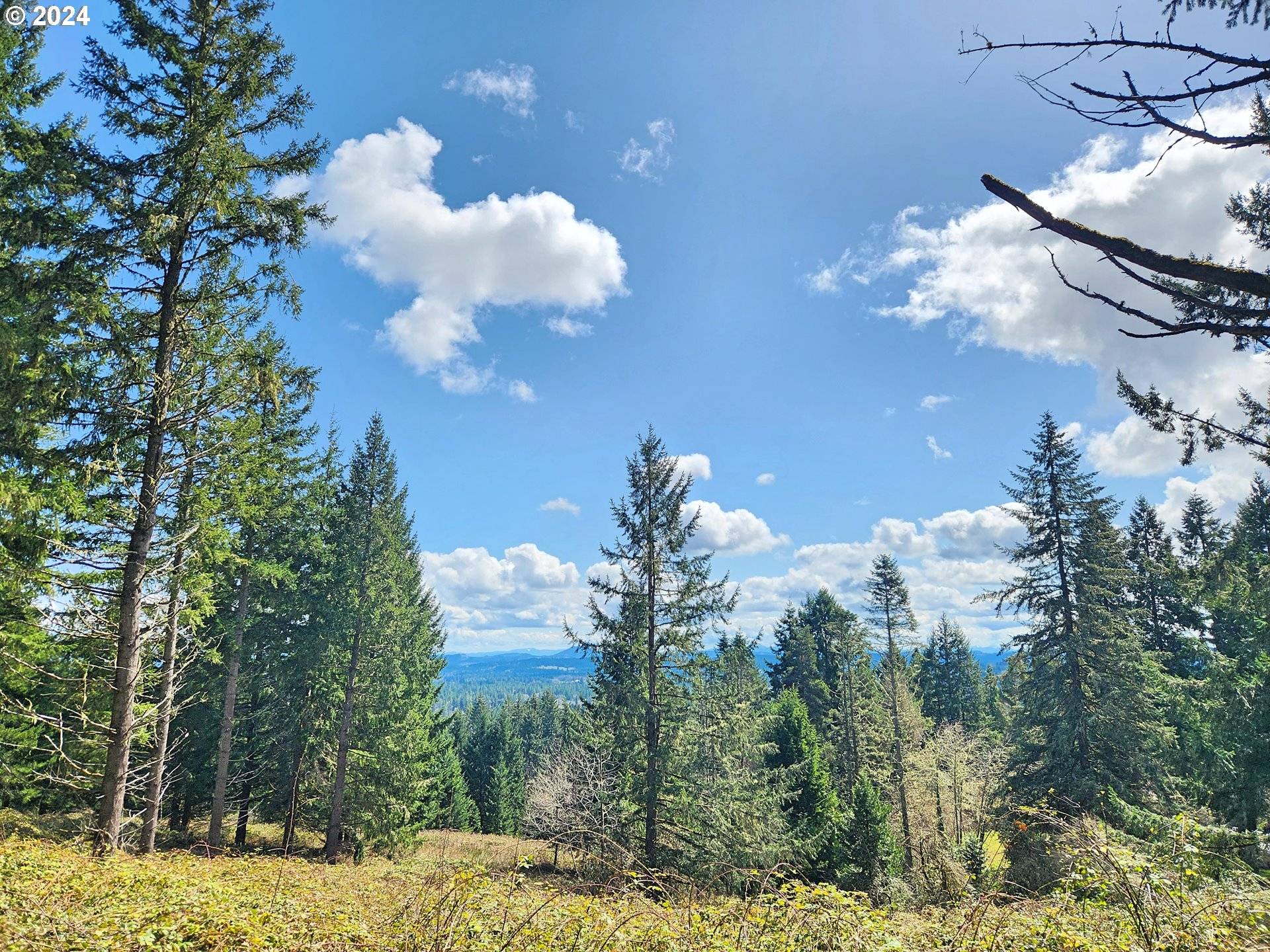 BOLTON HILL RD #S, Veneta, OR 97487