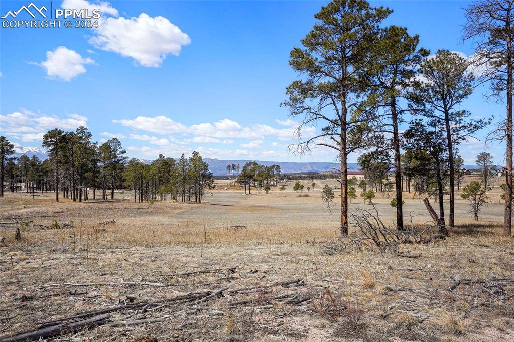 Colorado Springs, CO 80908,LOT 4 Forest Heights CIR