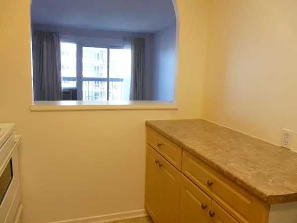 Vanier And Kingsview Park, ON K1L 8E7,158C Mcarthur AVE #1505