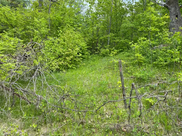 Havelock-belmont-methuen, ON K0L 1Z0,1915 County Road 48 RD