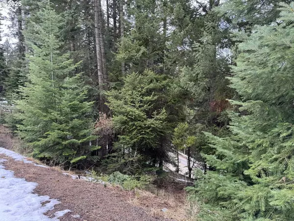 Joseph, OR 97846,0 FOREST DELL RD