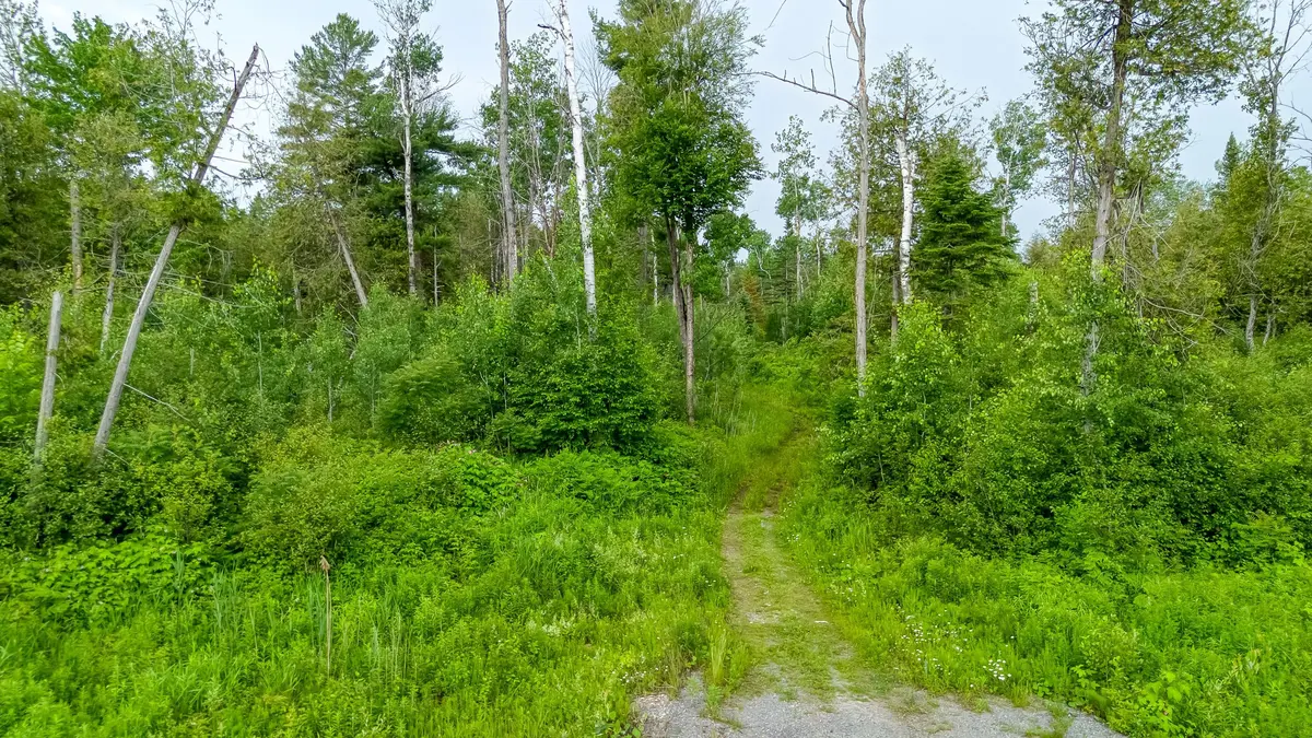 Carp - Huntley Ward, ON K0A 1L0,1911 Corkery RD N