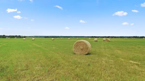 Gorman, TX 76454,TBD FM 2689 #119