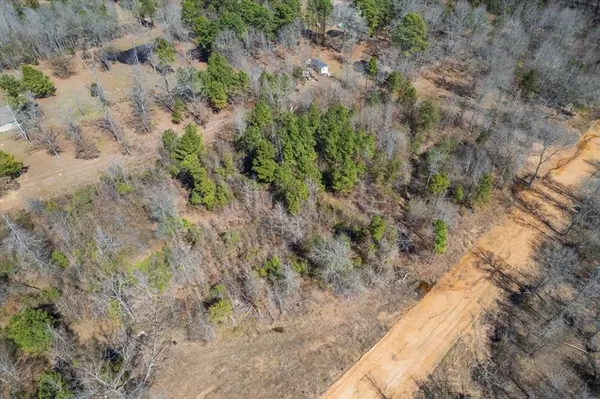 Pittsburg, TX 75686,Lot 8 Piney Lane