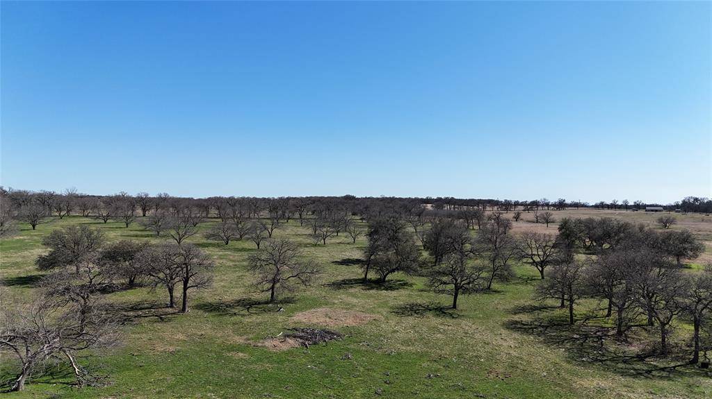 TBD TR 1 CR481, Stephenville, TX 76401