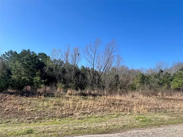 TBD CR 1400, Mount Pleasant, TX 75455