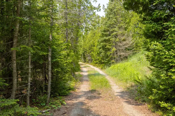 Northern Bruce Peninsula, ON N0H 2R0,584 WARNER BAY RD