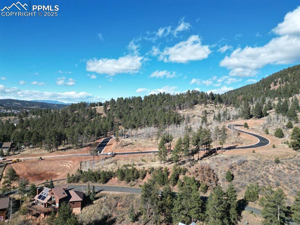 Woodland Park, CO 80863,1415 Red Haven PL