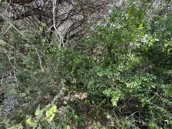 Whitney, TX 76692,TBD Linda Lee Loop