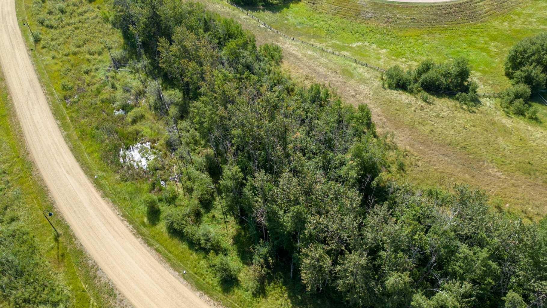 Rural Ponoka County, AB T4J 0B3,309 Wolf Run DR