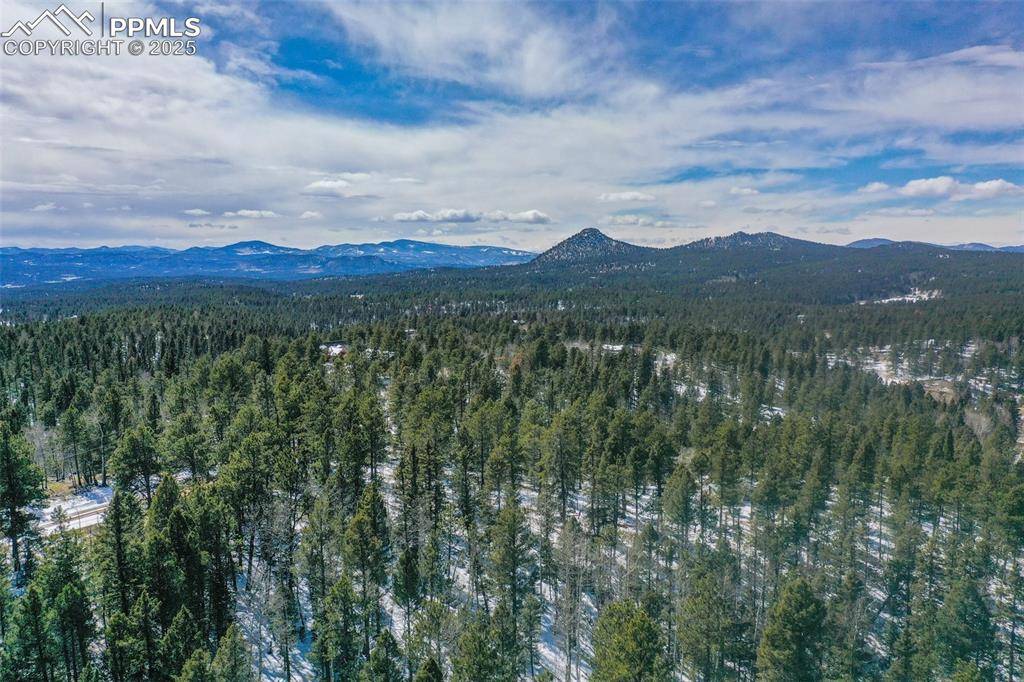 111 Elk Creek DR, Divide, CO 80814