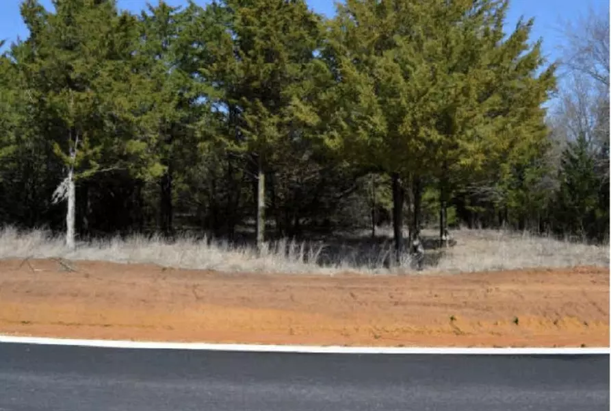 60 Timber Bank Drive, Gordonville, TX 76245