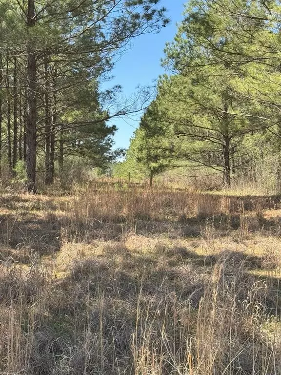 Marshall, TX 75672,TBD Boards Ferry Rd