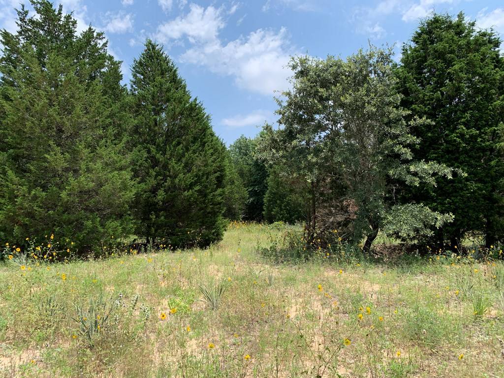 Athens, TX 75751,TBD FM 2494