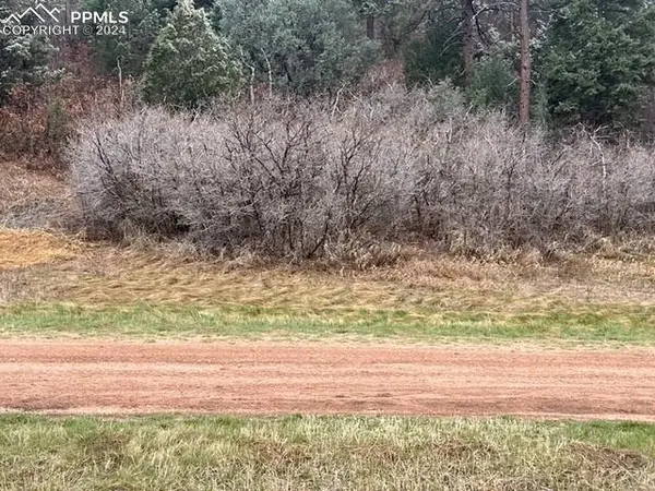 Larkspur, CO 80118,4716 Comanche DR