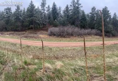 Larkspur, CO 80118,4716 Comanche DR