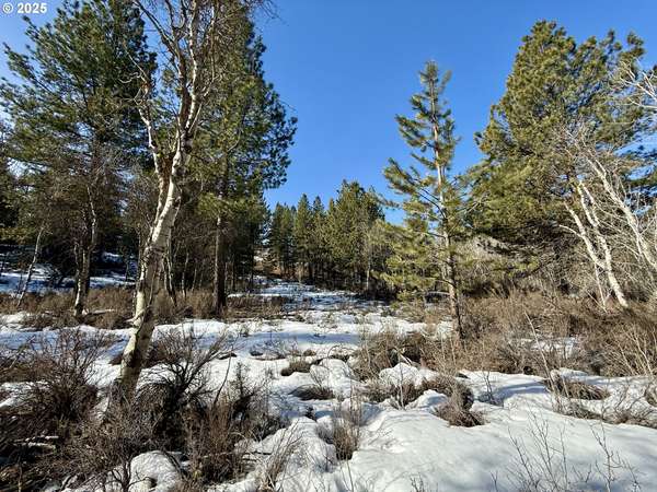 German Brown LN, Chiloquin, OR 97624