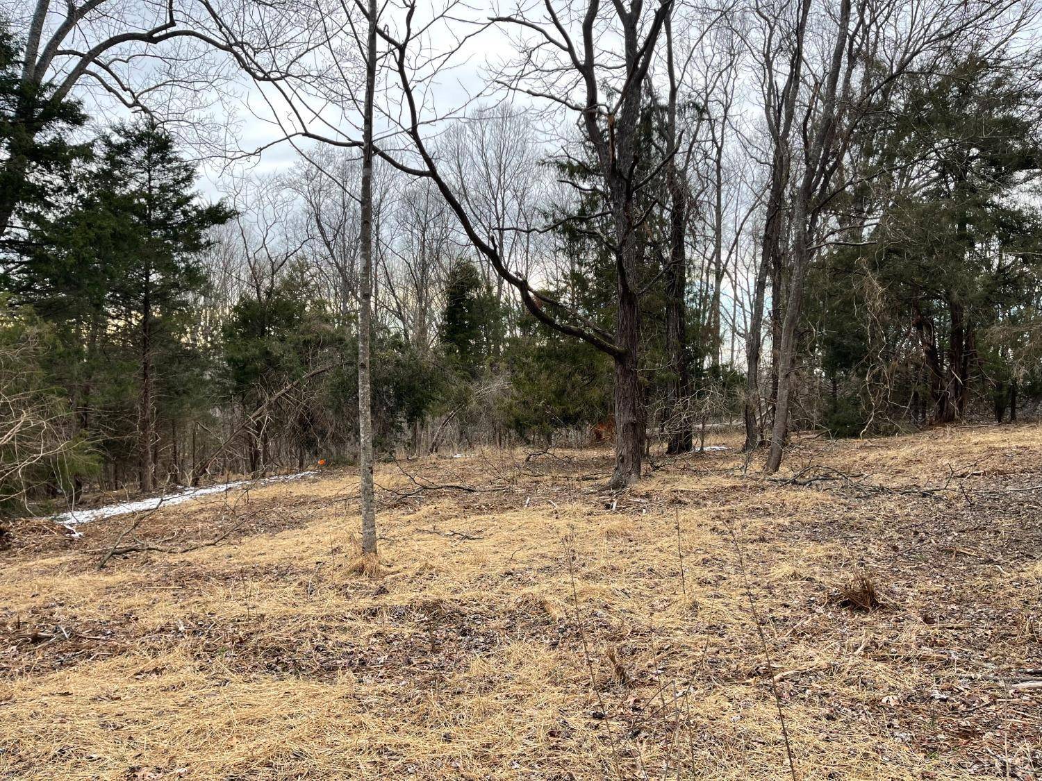 Bedford, VA 24523,0 Huntington DR