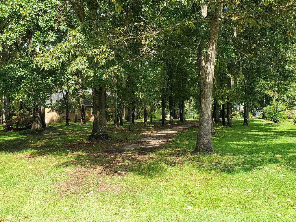 Manning, SC 29102,264 Ridge Lake Drive (Lot 29)