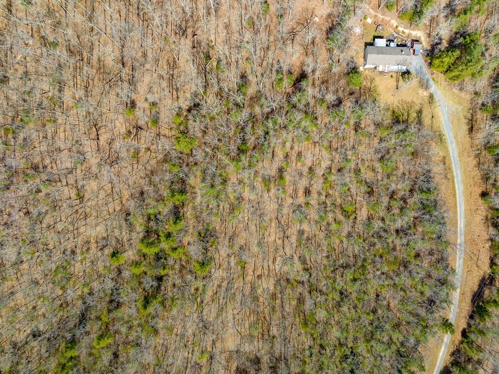 Bland, VA 24315,Lot 6 N Sunset Lane