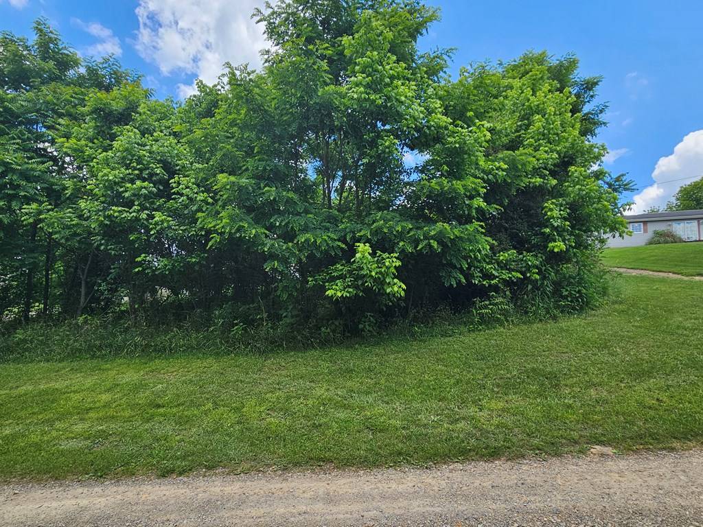 Abingdon, VA 24211,TBD Bridgeview