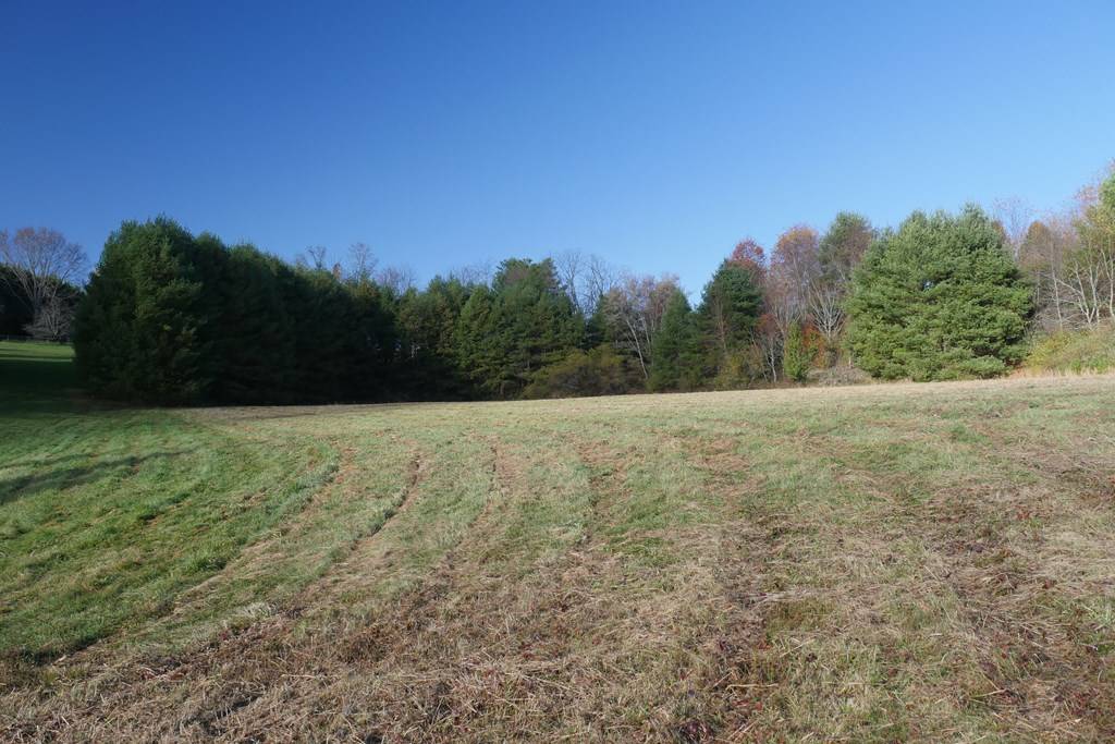 Hillsville, VA 24343,TBD Harmon St