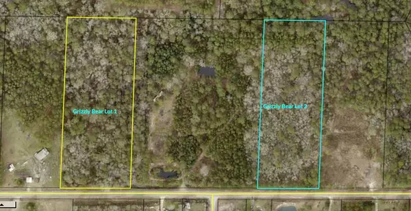 Norman Park, GA 31771,00B Grizzly Bear Rd (Lot 2)