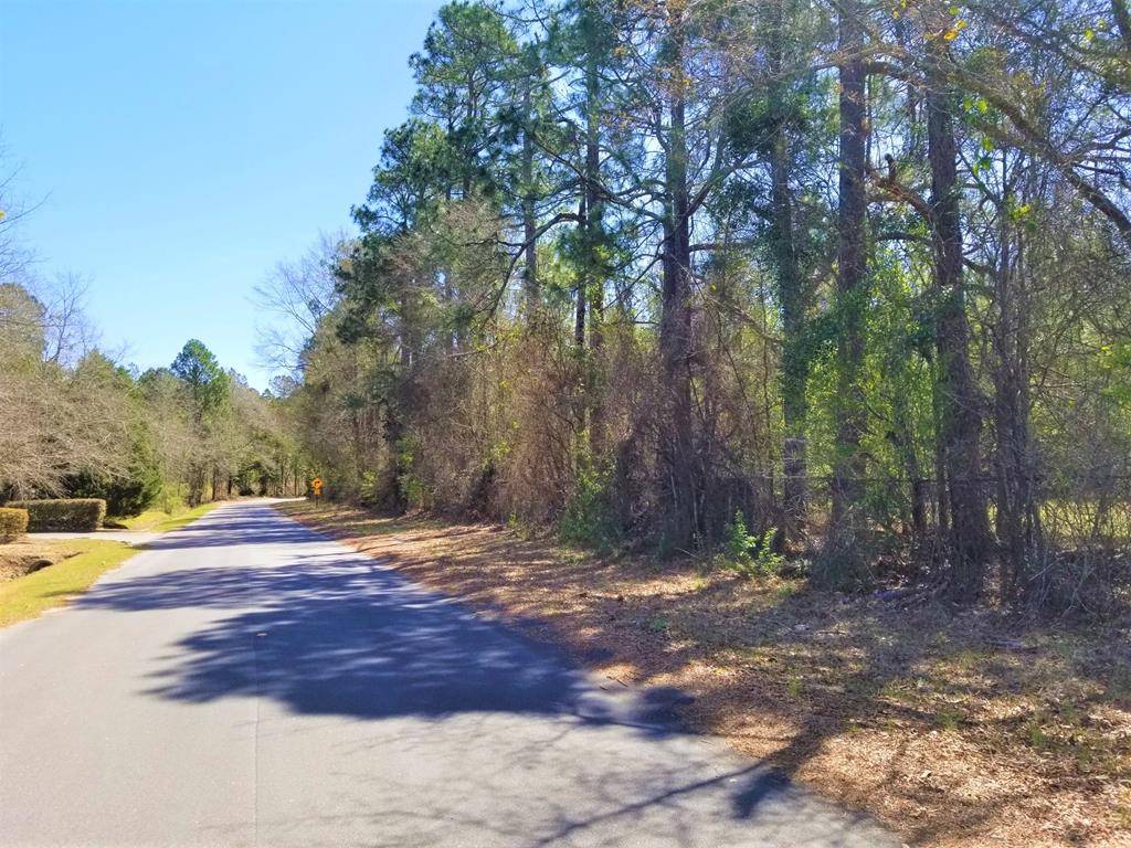 0 Corner of Dantzler St and Butler St, Saint Matthews, SC 29135